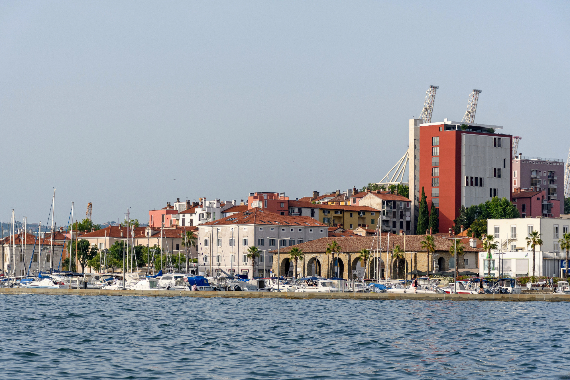 Voda Koper je vir življenja ob morju